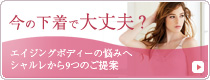 乳がんご経験者のためのブラ&パッド