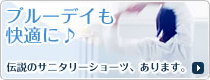 �֥롼�ǥ����Ŭ�ˢ����˥��꡼���硼���ý�