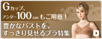 ˭���ʥХ��Ȥ򡢤��ä��긫����֥��ý�