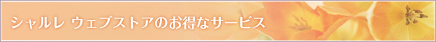 シャルレ ウェブストアのお得なサービス