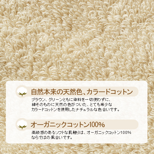 シャルレ ウェブストア