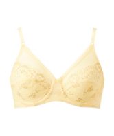 クリームイエロー