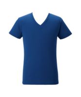 ロイヤルブルー