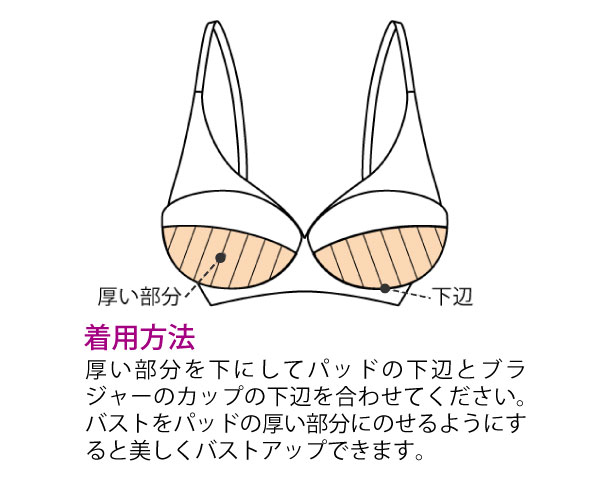 パッド（ボリュームアップタイプ）１組２枚