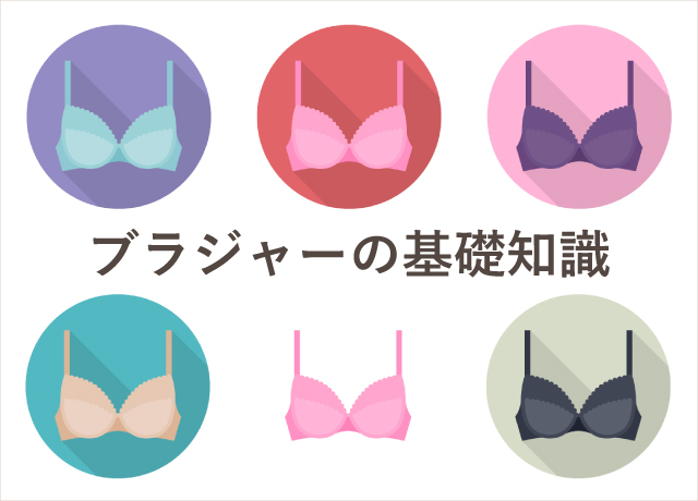ブラ基礎知識