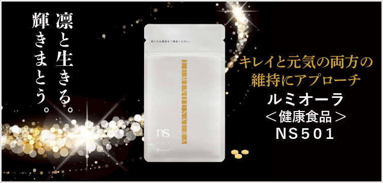 NS501 ߥ顡쥤ȸξΰݻ˥ץ