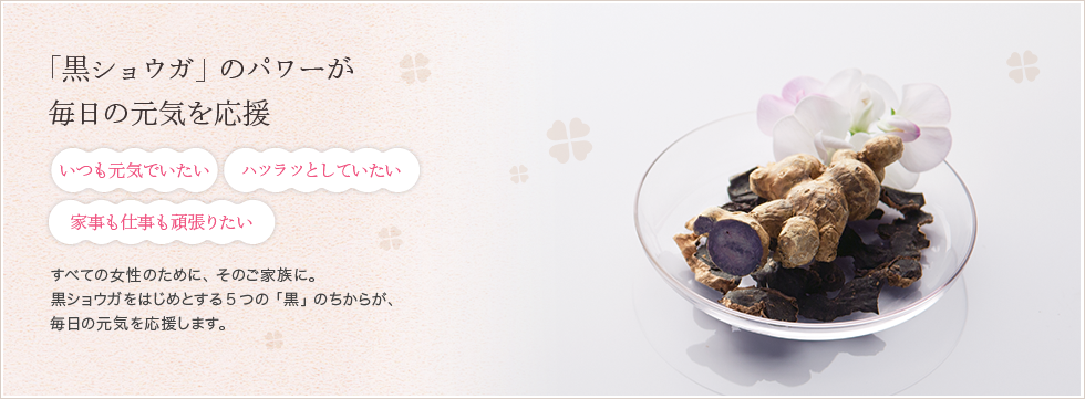 黒ショウガのパワーが毎日の元気を応援 エナジン ウォーマー シャルレ ウェブストア