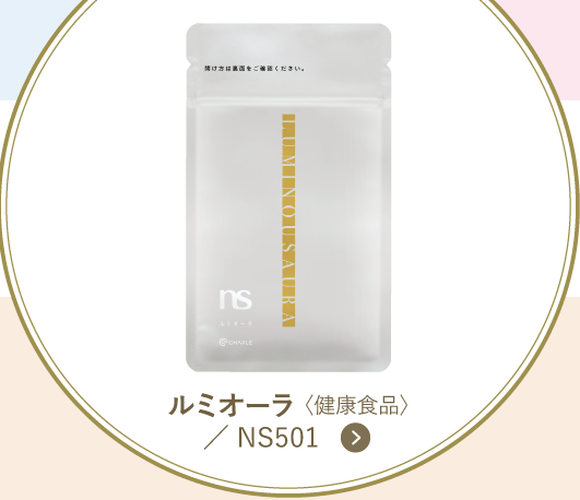 NS501 ��ߥ������򹯿��ʡ�