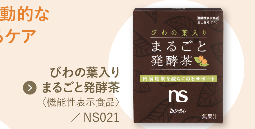 NS021 �Ӥ�������� �ޤ뤴��ȯ����㵡ǽ��ɽ�����ʡ�