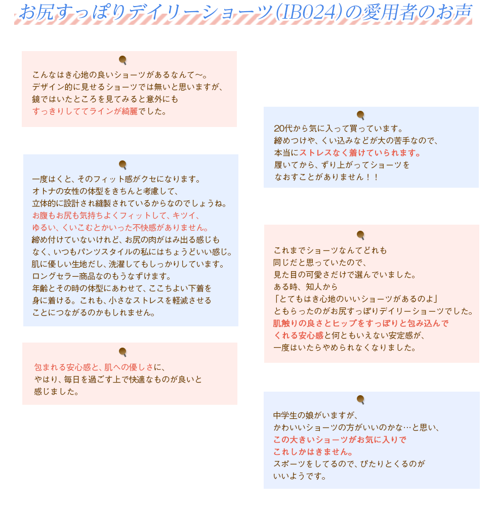 äݤǥ꡼硼ġIB024ˤΰѼԤΤ